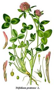 image001